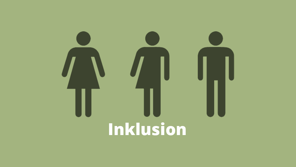 inklusion.png